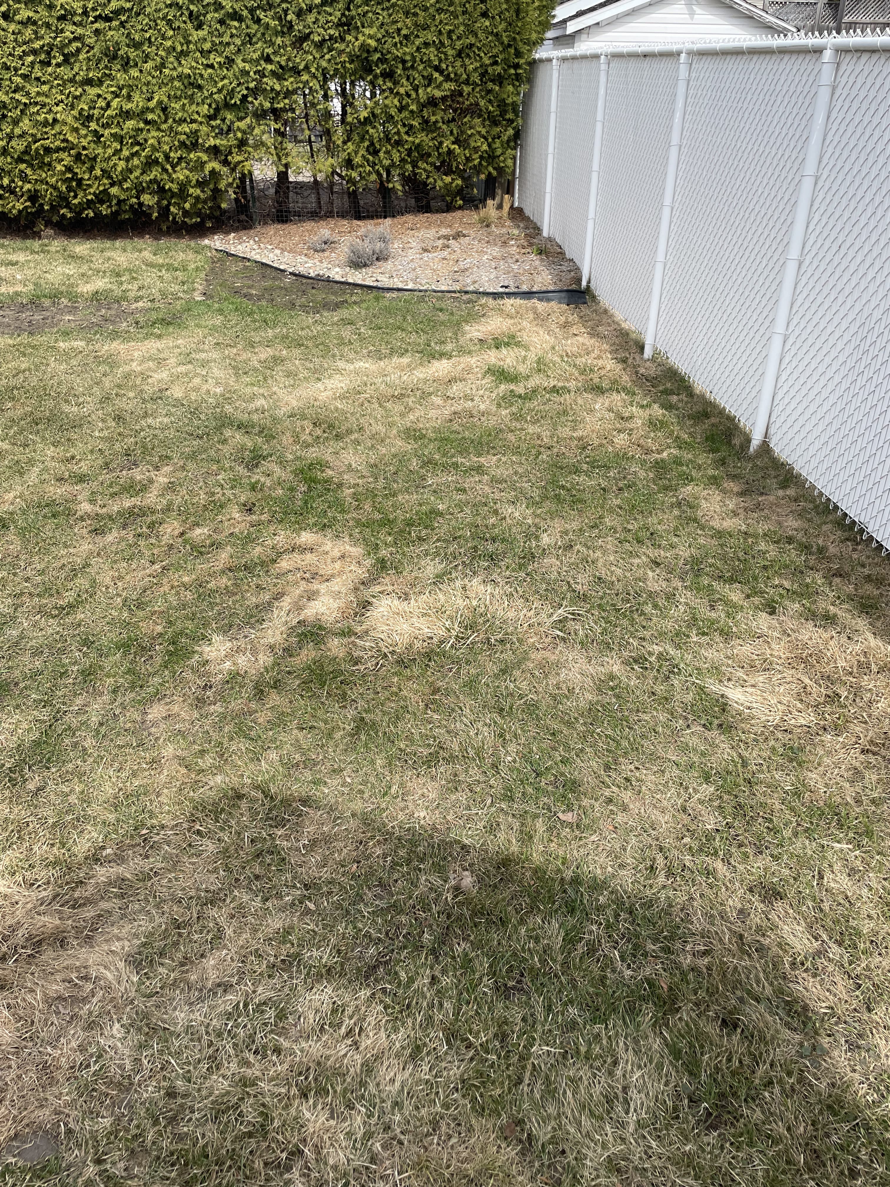 Before site photo